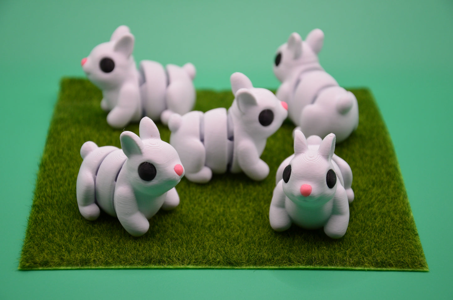 Hase Flexi