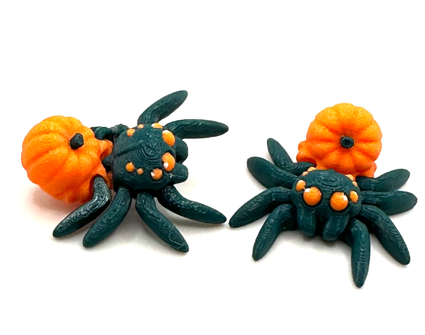 Spinne in verschiedenen Varianten Flexi
