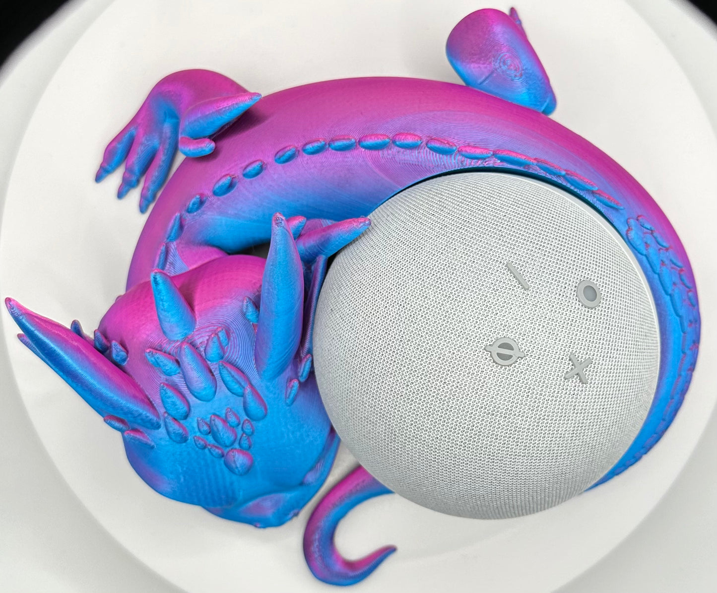 Drachenhalter für die Echo Dot 5. Generation