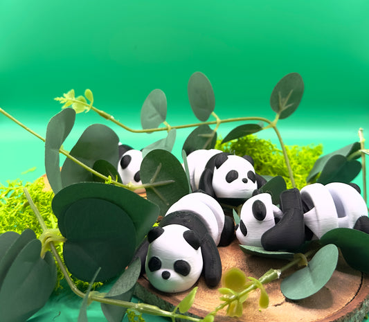 Panda Flexi